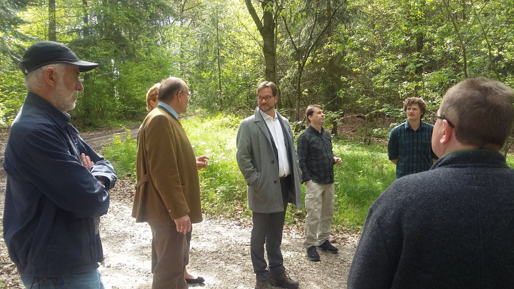 Mengkofen: Multitalent Wald