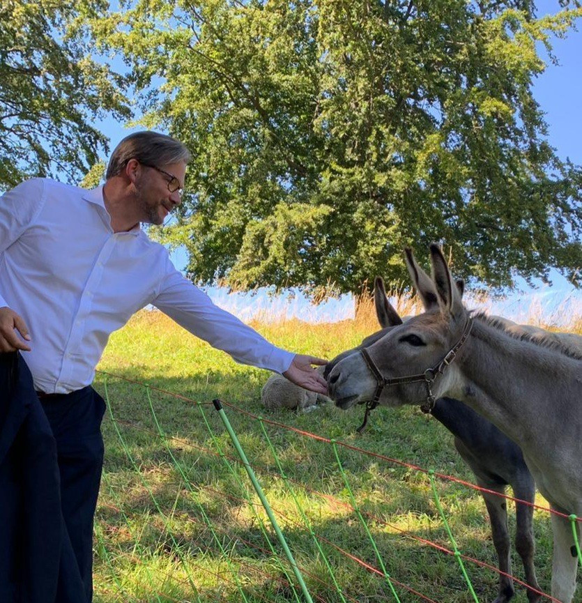 Besuch Rhön_Esel