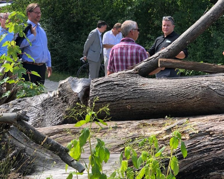 Der Totholzgartenin Schwabach